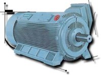 Electrical motor